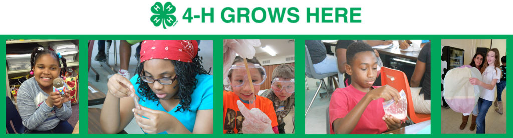 4-H GROWS HERE