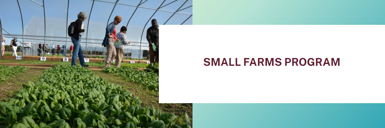 Small Farms Program