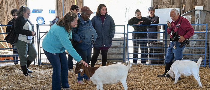 Associate Dean Dr. E.N.Escobar speaks to visitors at the UMES small ruminant farm.