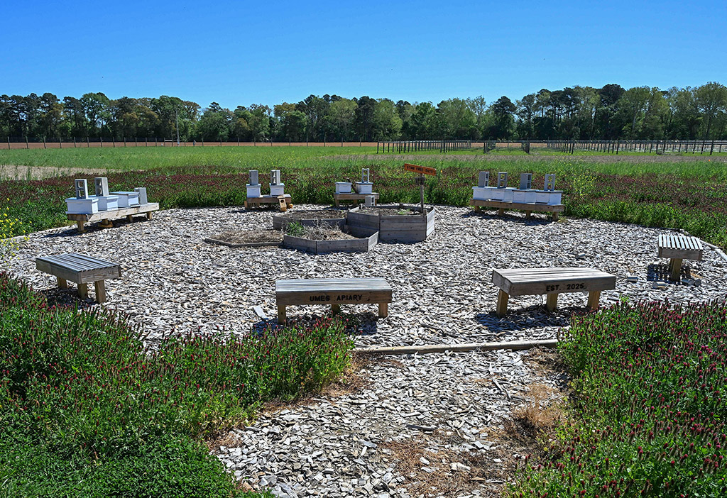 The Apiary at UMES Research, Extension and Teaching Farm.