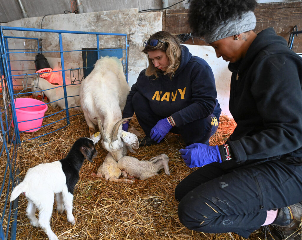 Olivia Ludolph, left, and Zoie McIntosh care for a newly born goat the UMES farm.