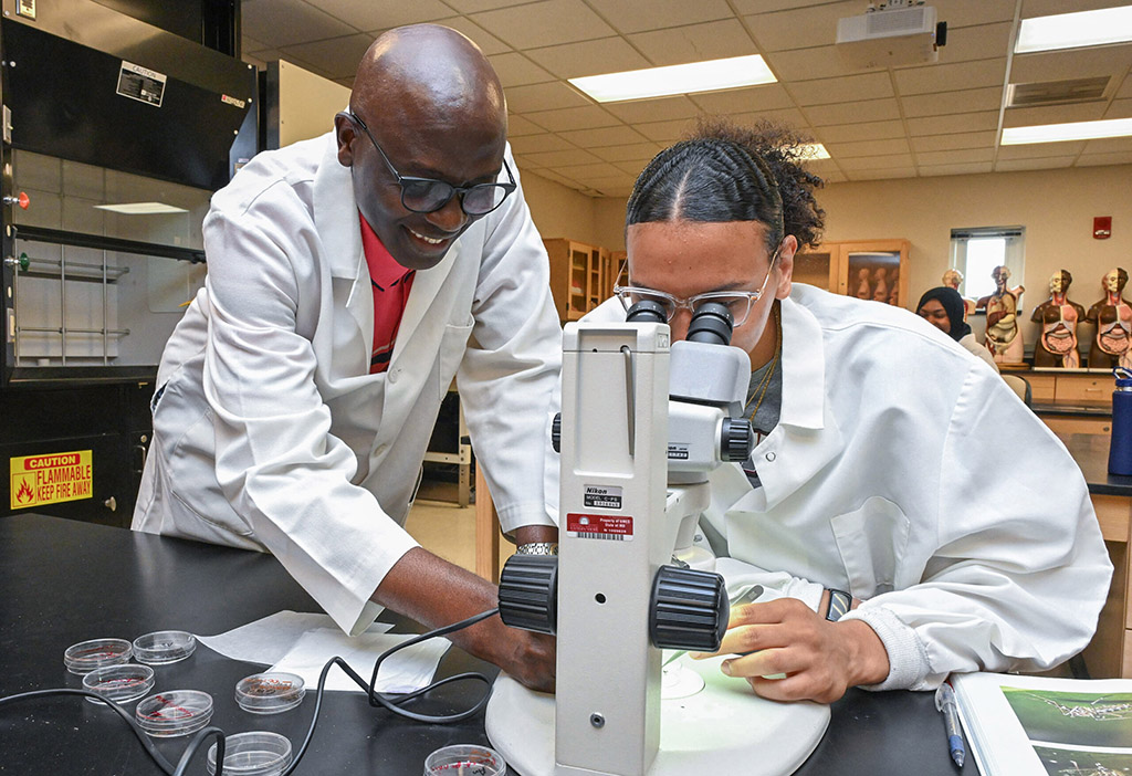 UMES Professor Mobolaji Okulate and student Lesley Thomas examine mosquitoes in the lab.