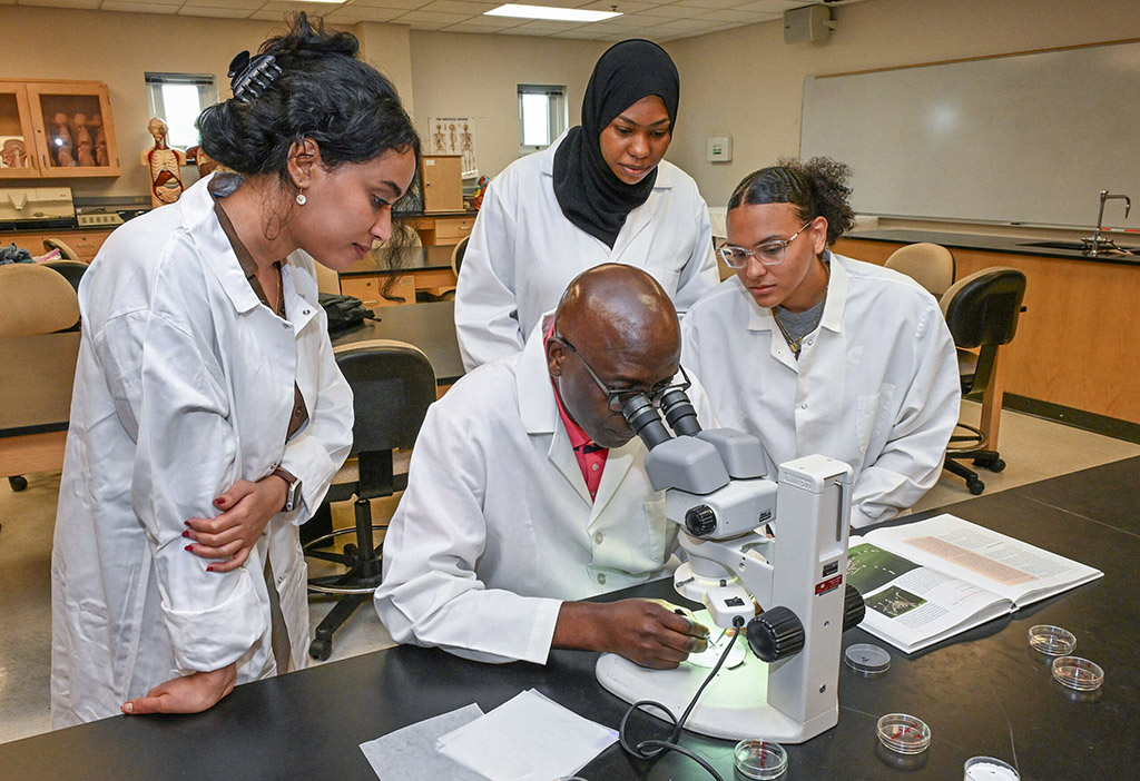 UMES students Doaa Barri, left, Professor Mobolaji Okulate and Jadia Adam and Lesley Thomas examine mosquitoes in the lab.