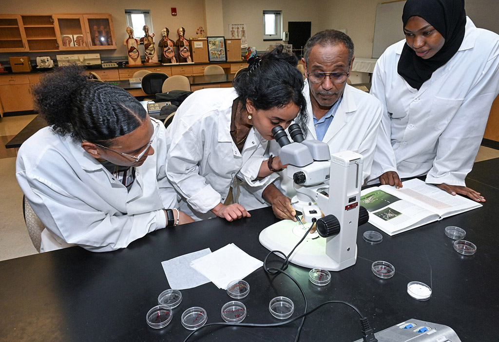 UMES students Lesley Thomas, left, Doaa Barri, Professor Dia-Eldin Elnaiem and Jadia Adam examine mosquitoes in the lab.