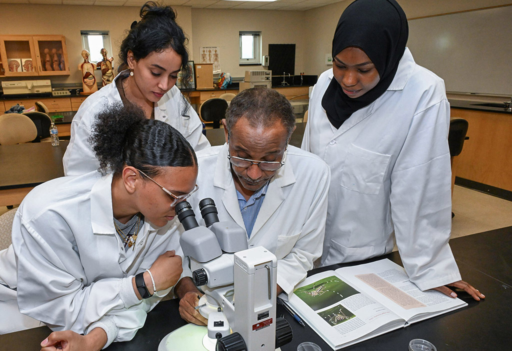 UMES students Lesley Thomas, left, Doaa Barri, Professor Dia-Dldin Elnaiem and Jadia Adam examine mosquitoes in the lab.