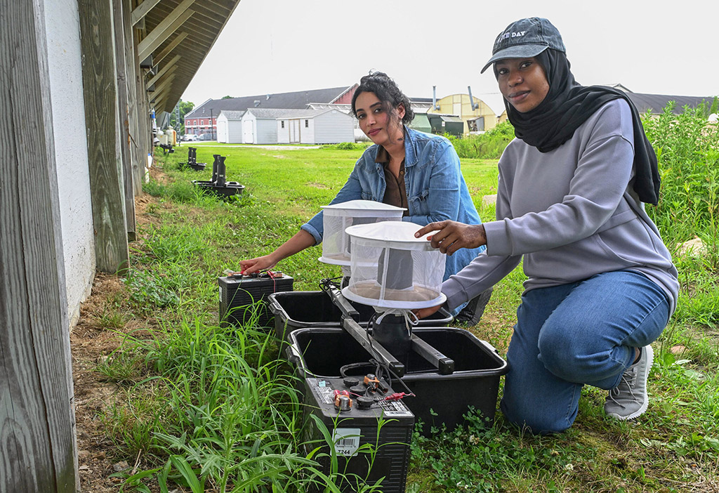 Students Doaa Barri, left, and Jadia Adam set up a capturing device outside a chicken house in Somerset County.