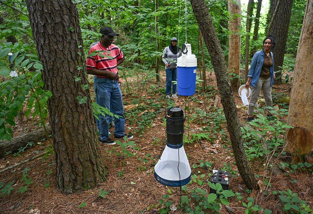 UMES students and professors set up mosquito traps.