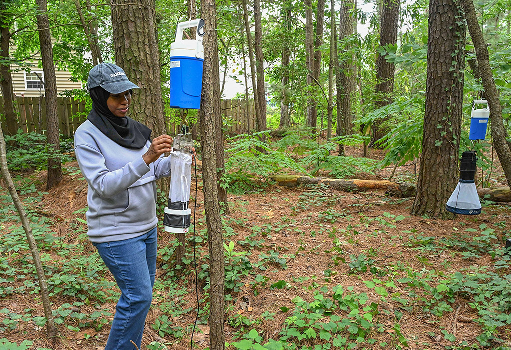 UMES student Jadia Adam sets up a mosquito capturing device in Somerset County