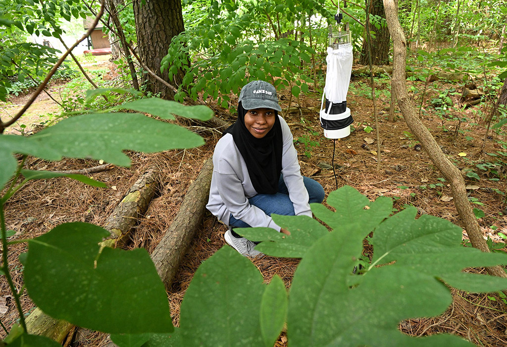 UMES student Jadia Adam sets up a mosquito capturing device in Somerset County.