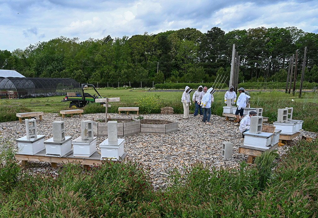 UMES Apiary at the UMES Research, Extension and Teaching Farm. (Photo by Todd Dudek, UMES Ag Communications)