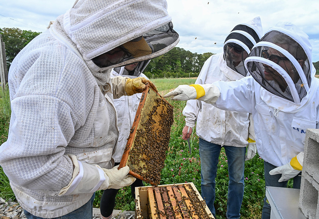 UMES Extension Program Assistant and beekeeper Stephen Goewey holds a workshop on performing first hive inspection in May 2026.