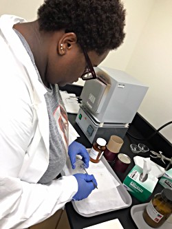 Rhyan Knight lab
