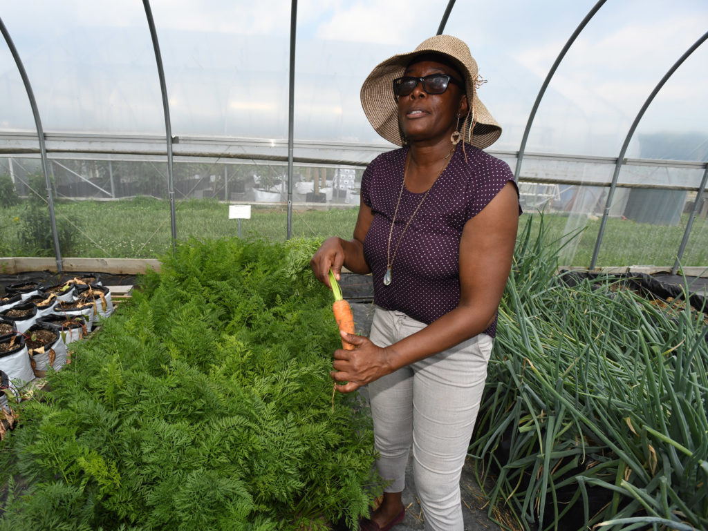 Growing Vegetables in Containers  University of Maryland Extension