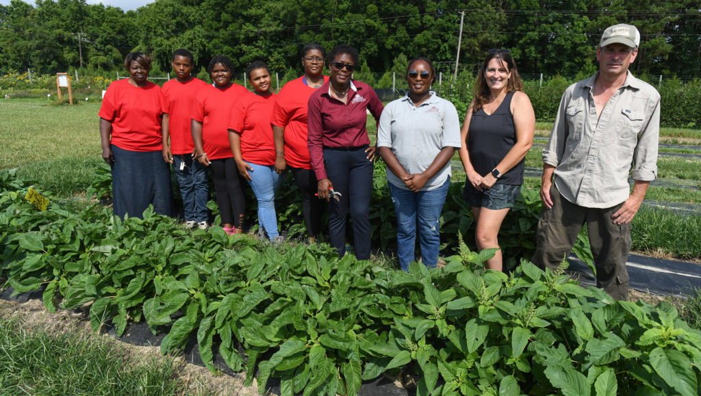 Farm to Food Bank