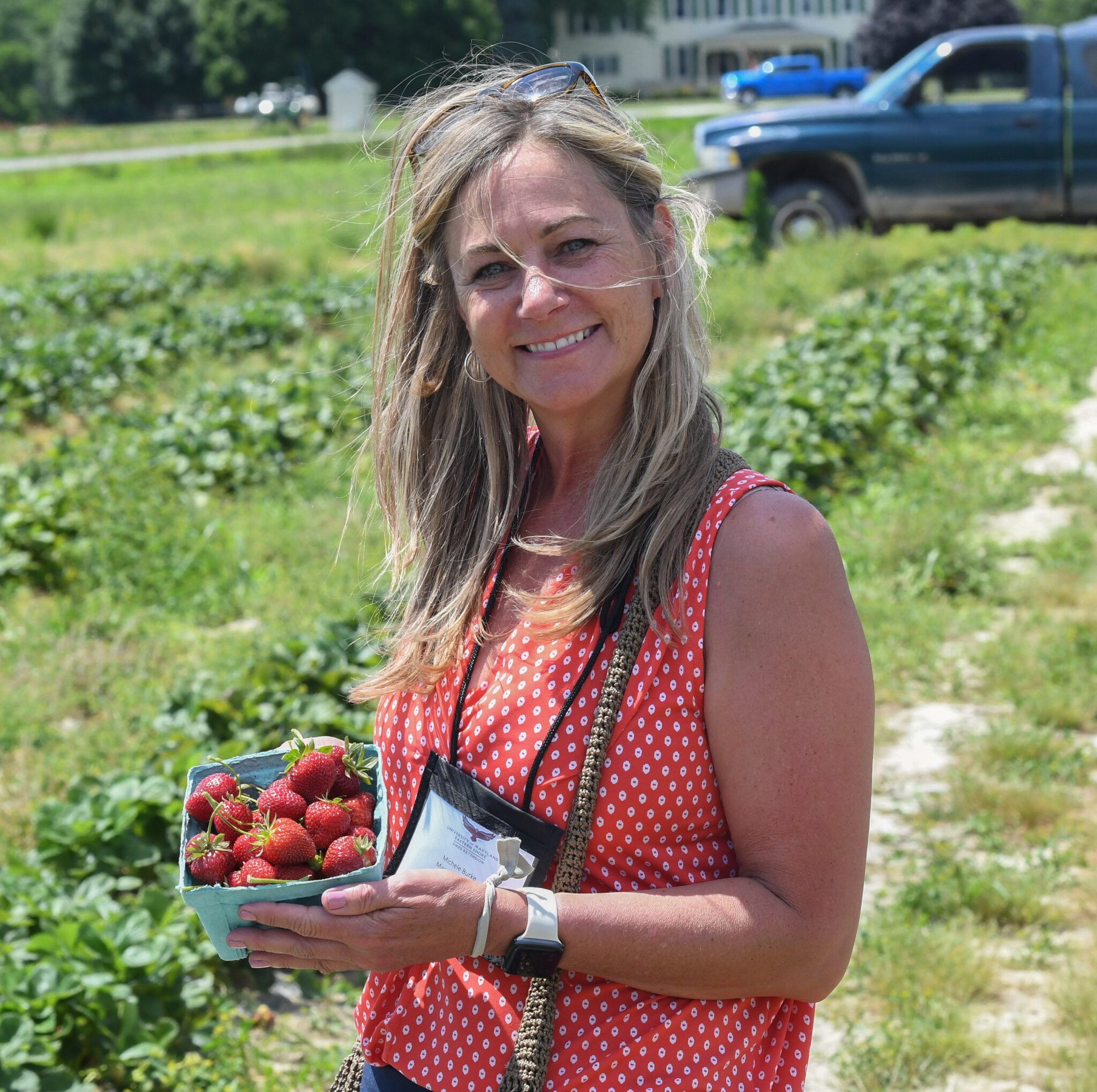 Picnic tent to booming farm market School of Agricultural and Natural