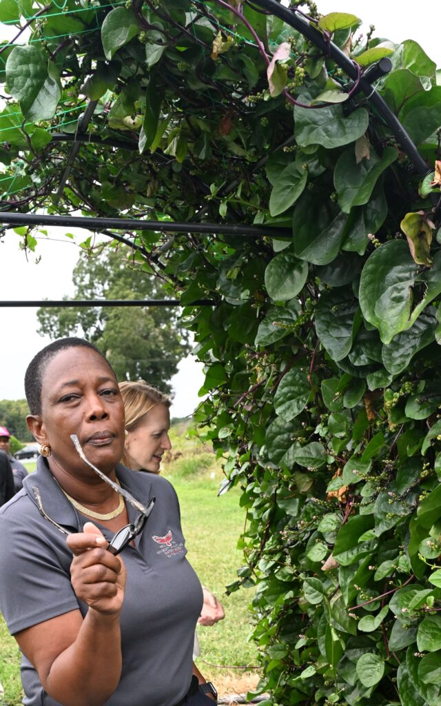 Dr. Nadine Burton is alternative crop specialist at University of Maryland Eastern Shore Extension.