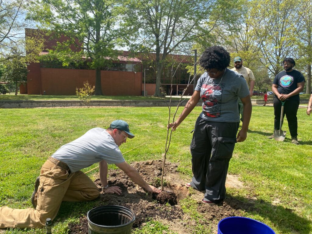 An Eastern redbud is planted on the campus of University of Maryland Eastern Shore.