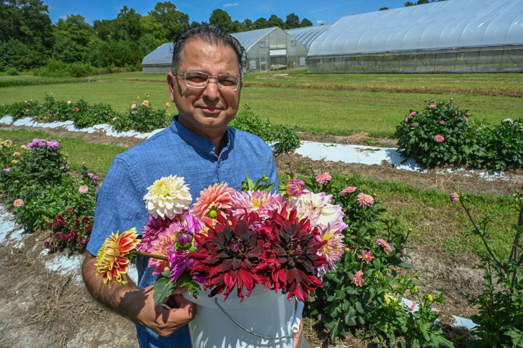 UMES Extension horticulturist and extension specialist Dr. Naveen Kumar Dixit.