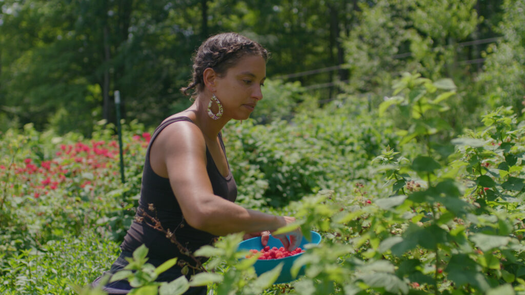 Leah Penniman, a Black farmer and co-owner of Soul Fire Farm in upstate New York, picks berries.