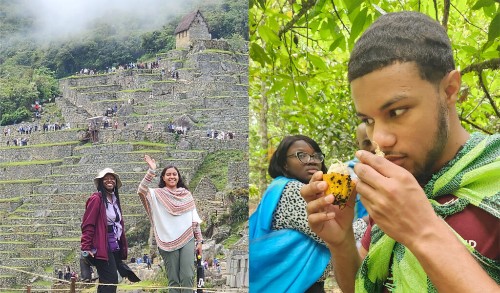 Shown is a composite photo of two female students on the agricultural terraces at  Ollentyanmpo in Peru and a male student smelling cacao fruit on a Peruvian farm.