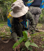 A UMES agricultural student plants a fruit tree in Peru.