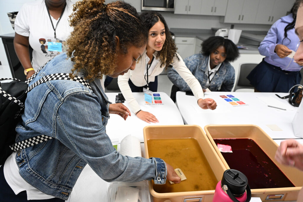 A student dyes a textile sample with natural dyes.