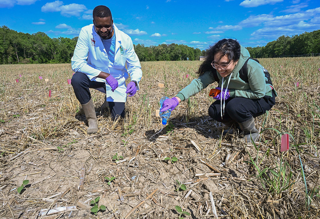 UMES researcher Wayne Omagamre and Sumantee Baidya, a graduate research assistant, conduct a field experiment for breaking down PFAS.
