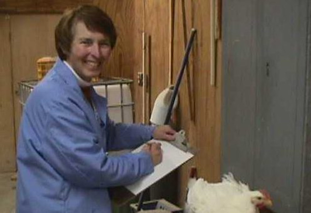 The late pioneering UMES poultry professor Jeannine Harter-Dennis weighs a chicken for research.