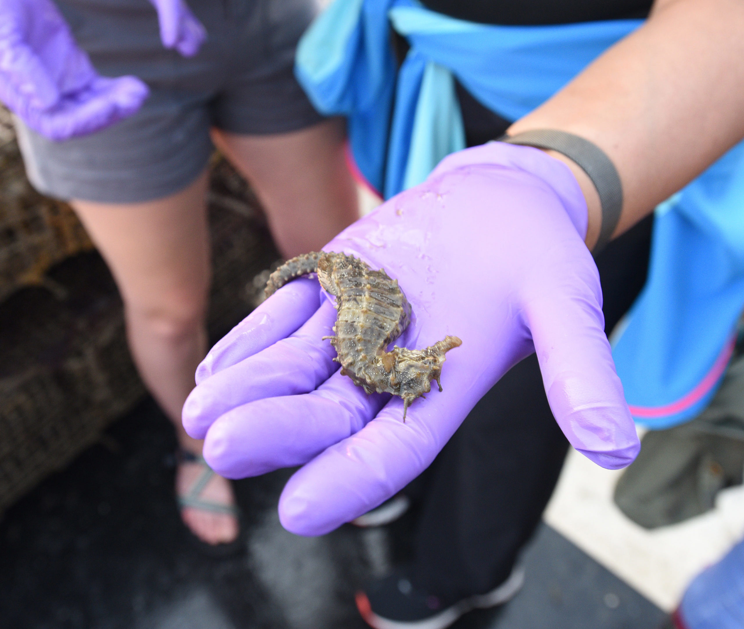 UMD Center for Environmental Science has a new president.