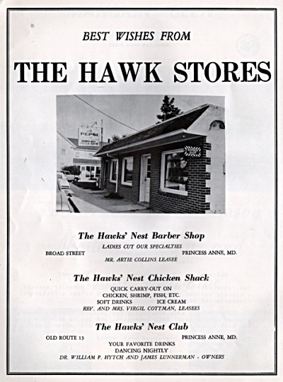 Hawks' Nest poster